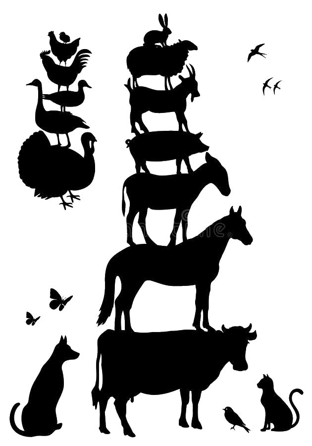 Stack Of Various Animals Chickens Goats stencil photo 7