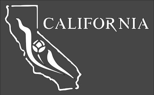Stencil California, Plastic Reusable, 5 x 8 inch reusable Mylar wall painting stencil