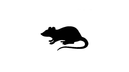 Rat Stencil, Reusable Plastic Template, 8 Inch, Durable for Urban Art Projects and Halloween reusable Mylar wall painting stencil