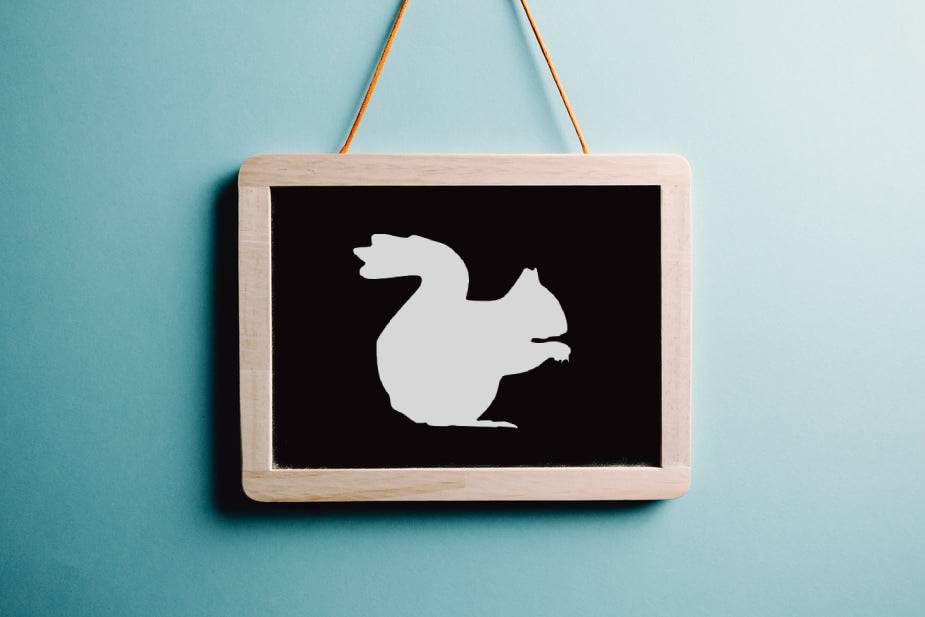 Squirrel Stencil, Reusable Plastic Template, 8 Inch, Durable for Nature-Themed Crafts and Home stencil photo 2