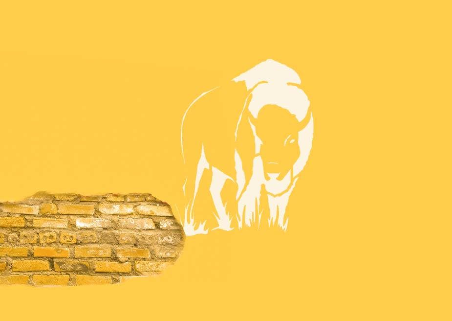 Bison Buffalo Stencil, Reusable Plastic Template, 6x8 Inch, Durable for Crafting and Home Decor stencil photo 6