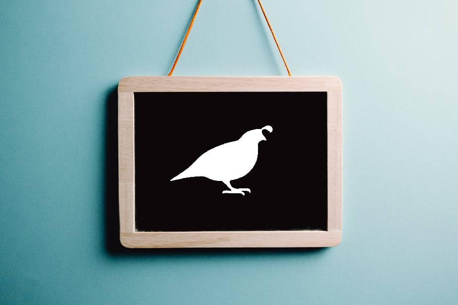 Quail Stencil, Reusable, Precision-Cut Mylar, 4-Inch, Ideal for Nature-Themed Crafts and Decor stencil photo 6