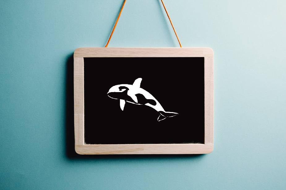 Orca Stencil, Mini Reusable Plastic Template, 2x3.25 Inch, Durable for Marine Life Crafts and stencil photo 6