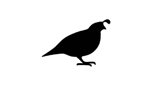 Quail Stencil, Reusable, Precision-Cut Mylar, 4-Inch, Ideal for Nature-Themed Crafts and Decor reusable Mylar wall painting stencil