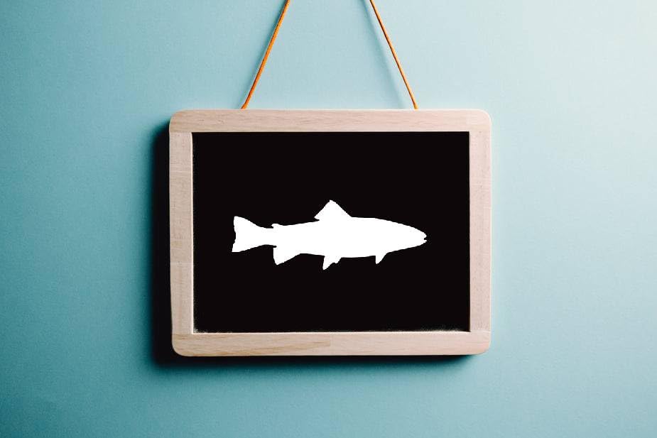 Trout Stencil, 4-Inch, Reusable Plastic, Fish-Themed Crafting and Outdoor Decor, DIY Art Projects stencil photo 6