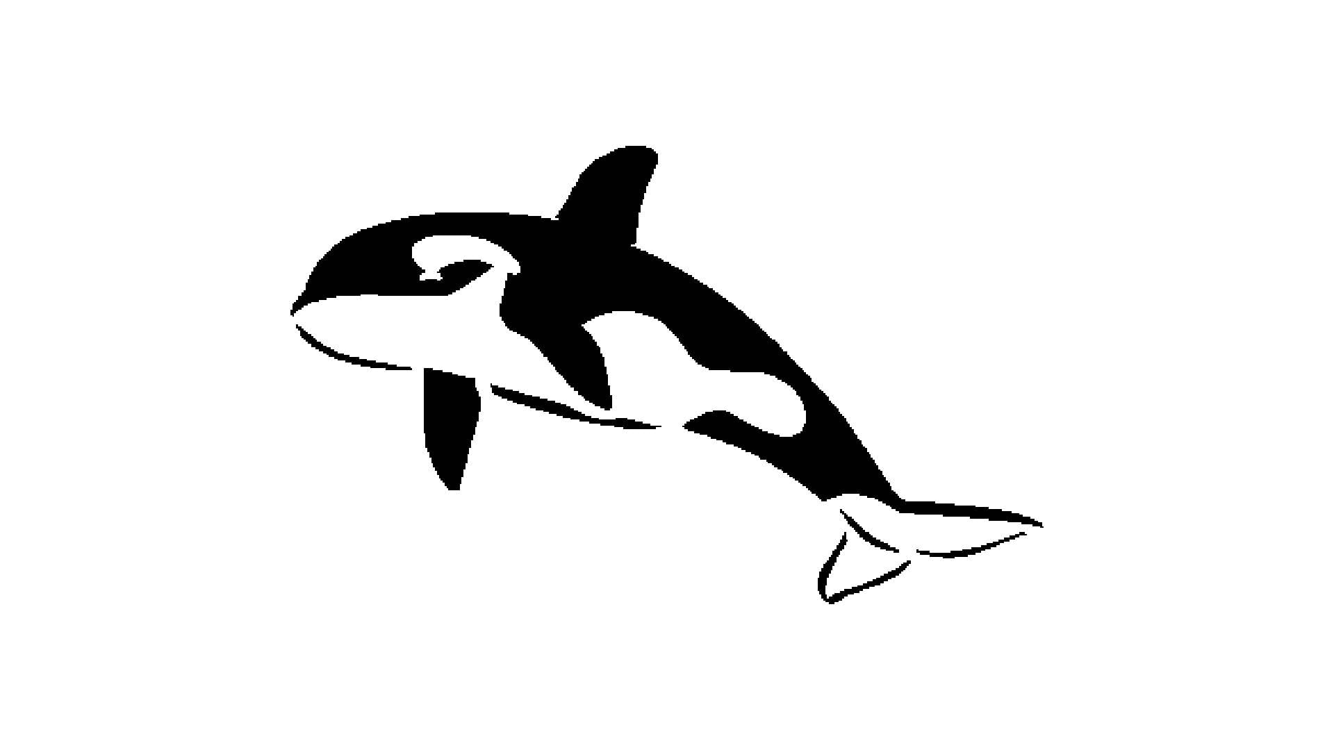 Orca Stencil, Mini Reusable Plastic Template, 2x3.25 Inch, Durable for Marine Life Crafts and reusable Mylar wall painting stencil