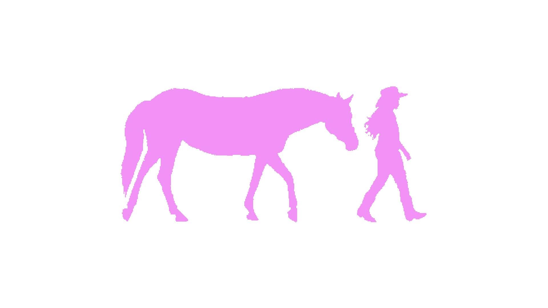Cowgirl with Horse Stencil, Reusable Plastic Template, 5x10 Inch, Durable for Western Themed stencil photo 5