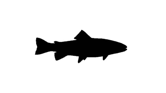 Trout Stencil, 4-Inch, Reusable Plastic, Fish-Themed Crafting and Outdoor Decor, DIY Art Projects reusable Mylar wall painting stencil