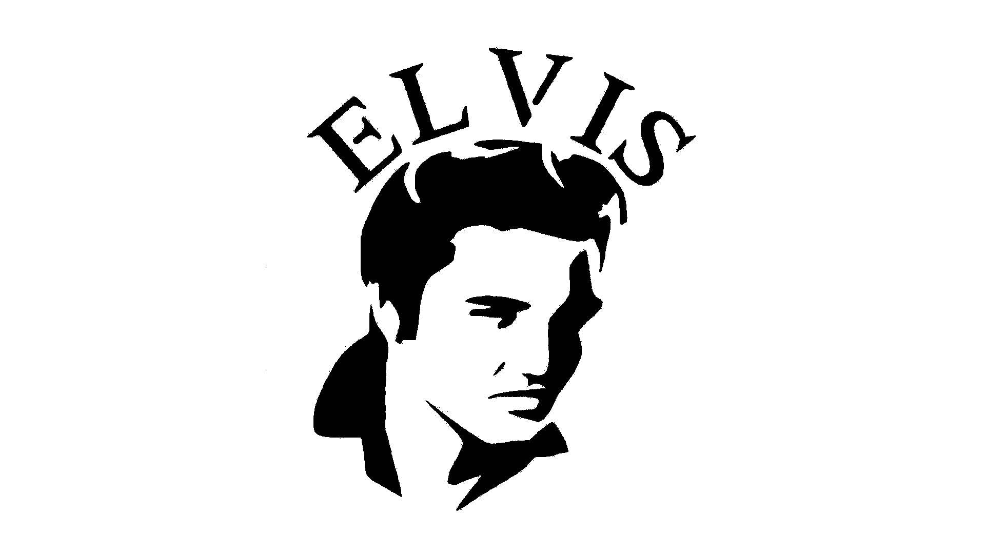 Elvis Stencil, Reusable Mylar 5x6 Inches, Ideal for Music-Themed Crafts and Home Decor, White reusable Mylar wall painting stencil