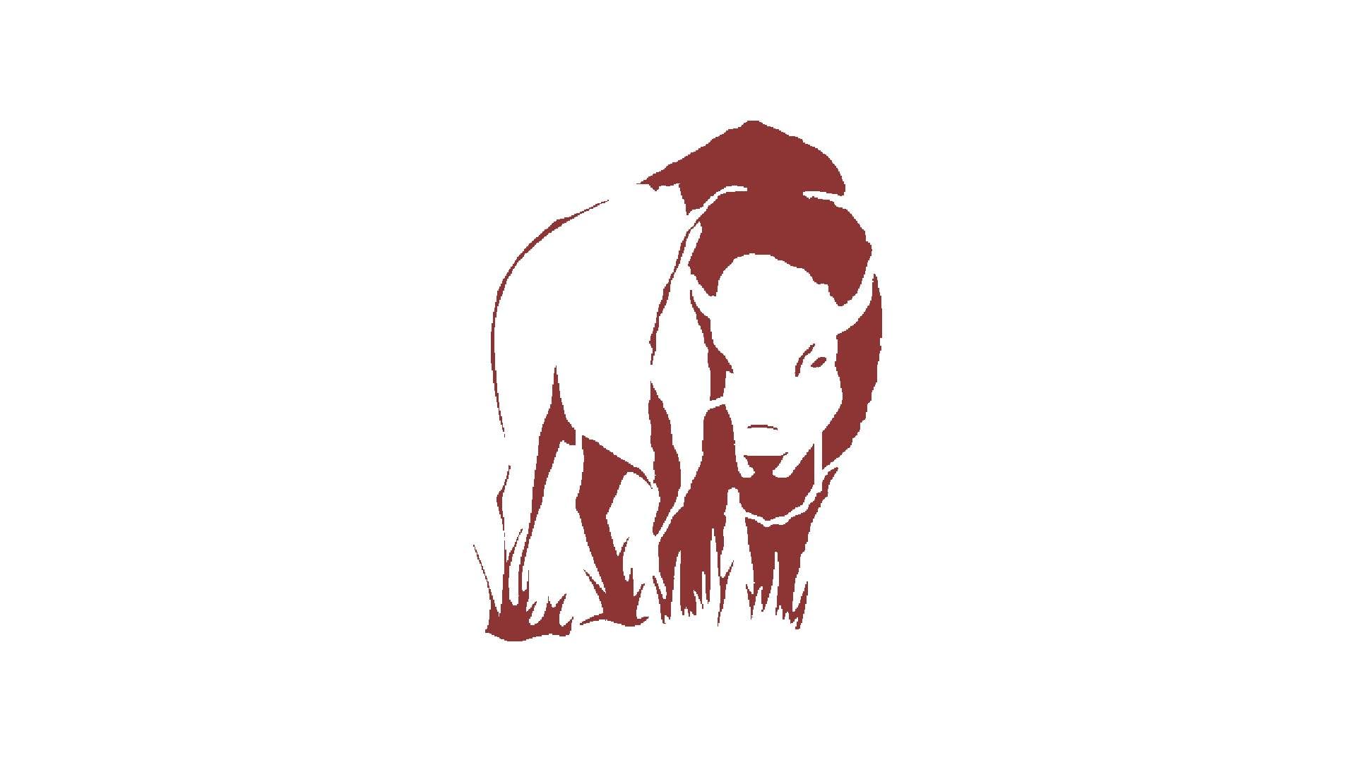 Bison Buffalo Stencil, Reusable Plastic Template, 6x8 Inch, Durable for Crafting and Home Decor stencil photo 4