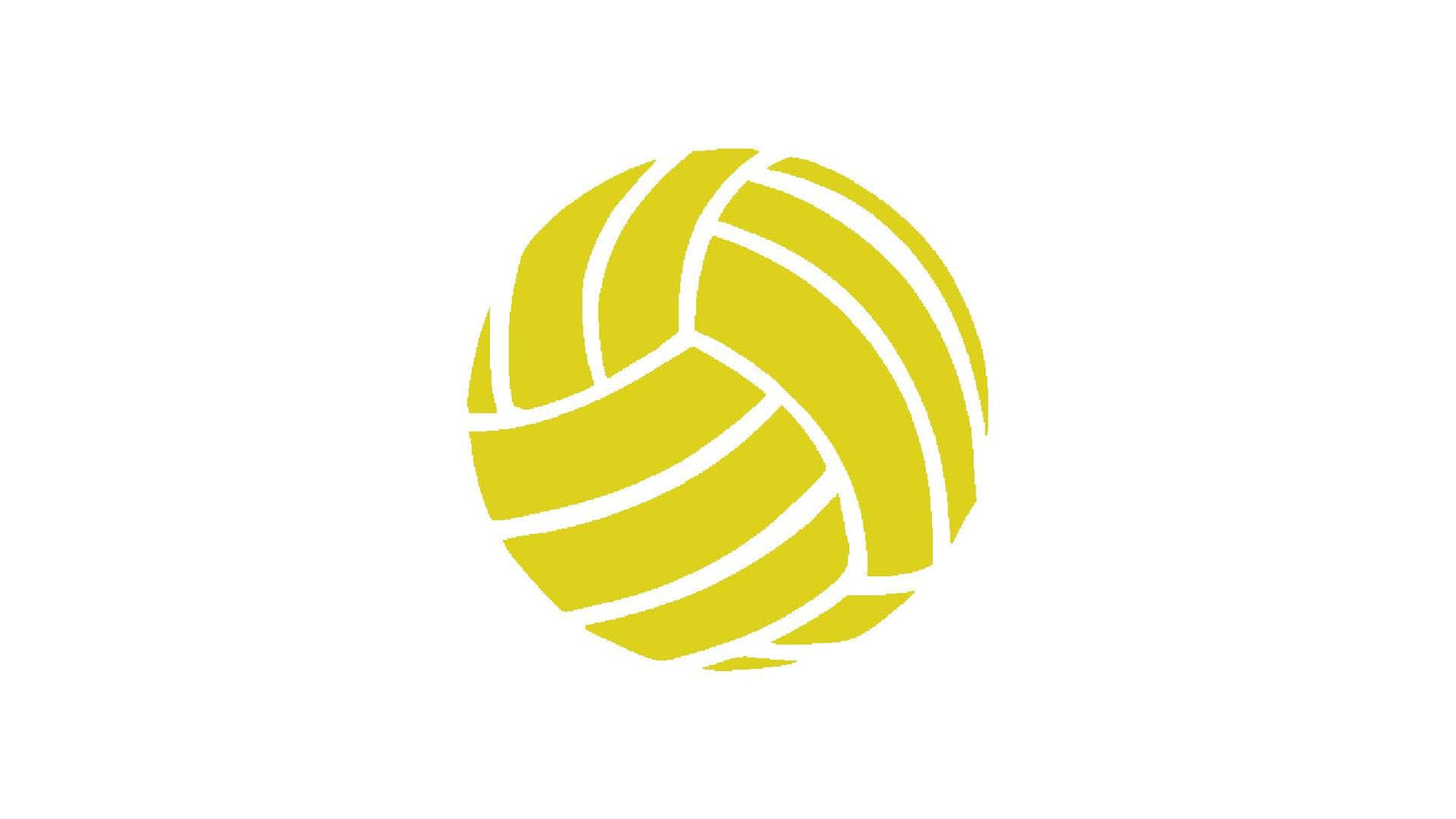 Volleyball Ball Stencil, Reusable, Precision-Cut Mylar, 5.5x5.5 Inches, for Sports-Themed Crafts stencil photo 2