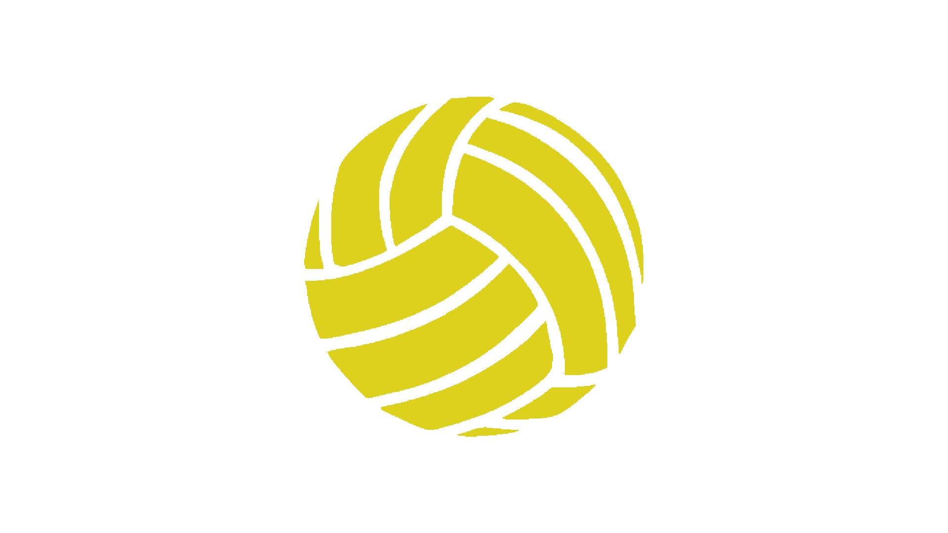 Volleyball Ball Stencil, Reusable, Precision-Cut Mylar, 5.5x5.5 Inches, for Sports-Themed Crafts stencil photo 2