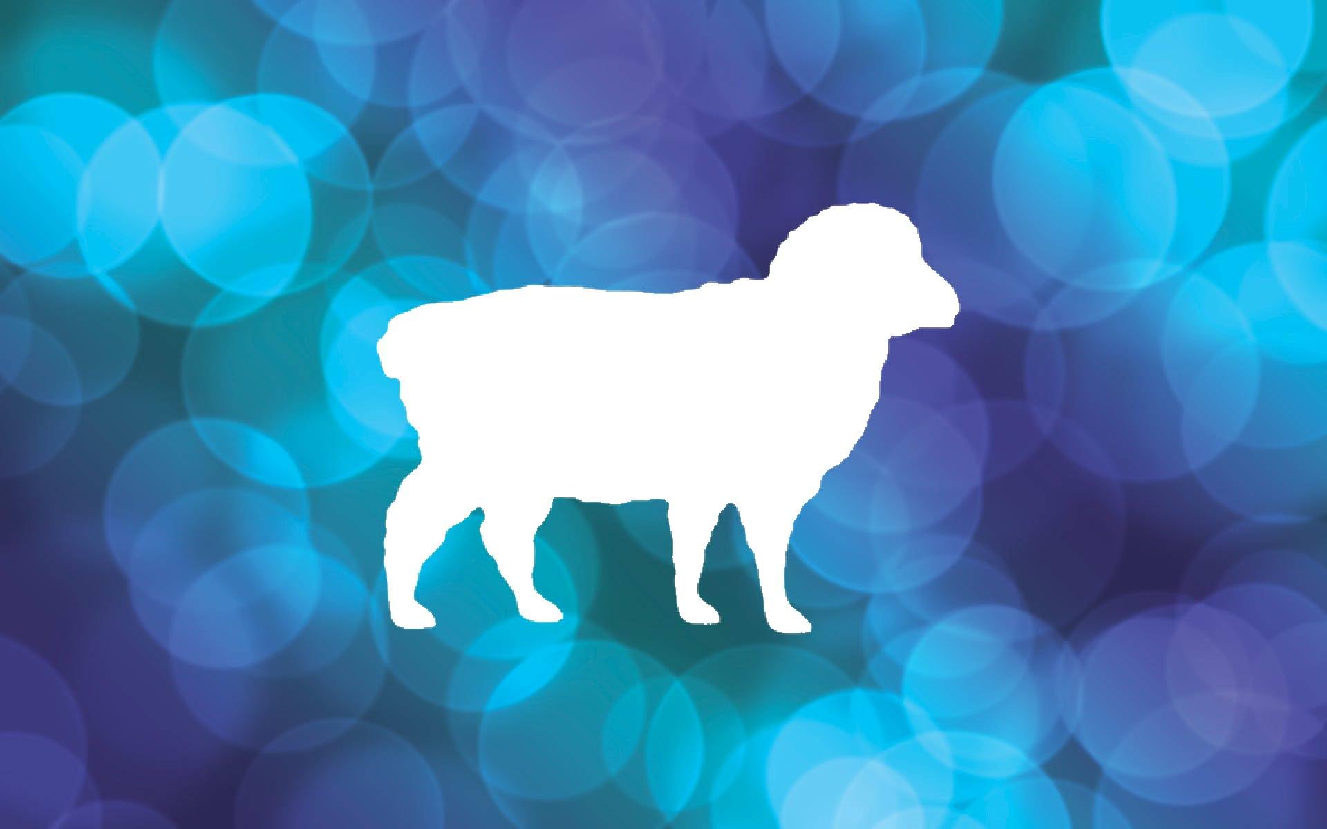 Sheep Stencil for Painting, 4-Inch, Reusable Plastic, Farm Animal Crafting and Home Decor, DIY stencil photo 3