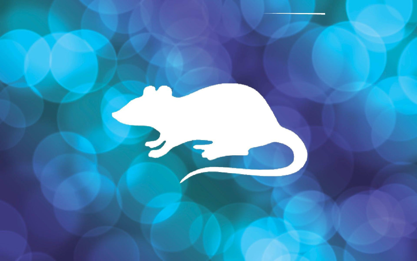 Rat Stencil, Reusable Plastic Template, 8 Inch, Durable for Urban Art Projects and Halloween stencil photo 3