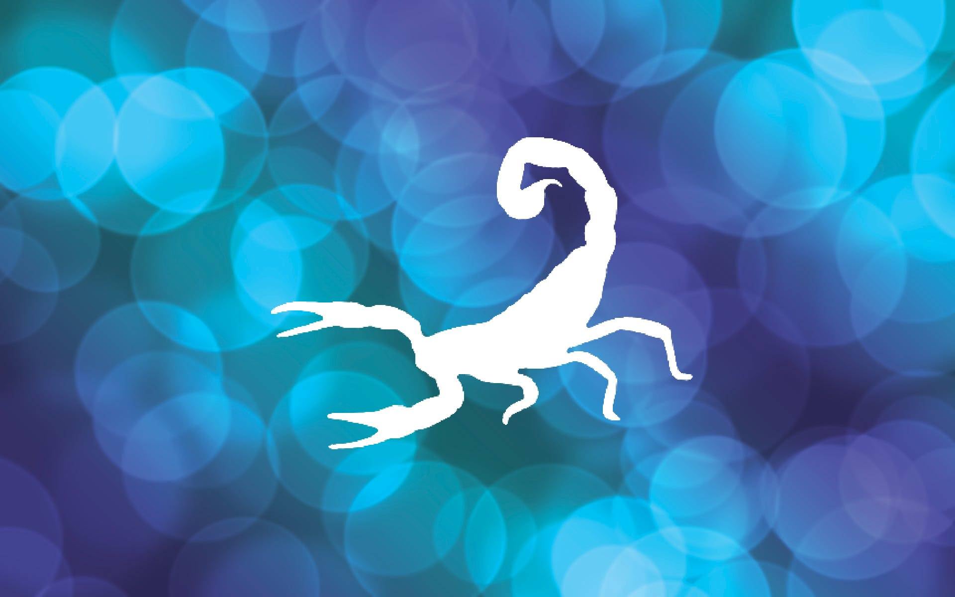 Scorpion Stencil, Reusable, Durable Mylar, 4-Inch, Perfect for Wildlife or Tattoo-Themed Crafts stencil photo 4