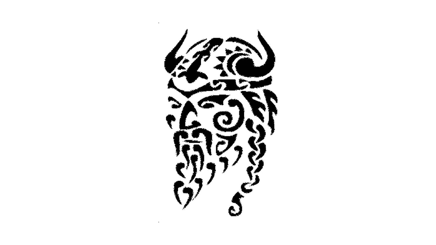 Viking Stencil, Reusable Plastic Template, 5x8 Inch, Durable for Historical Crafts and Nordic reusable Mylar wall painting stencil