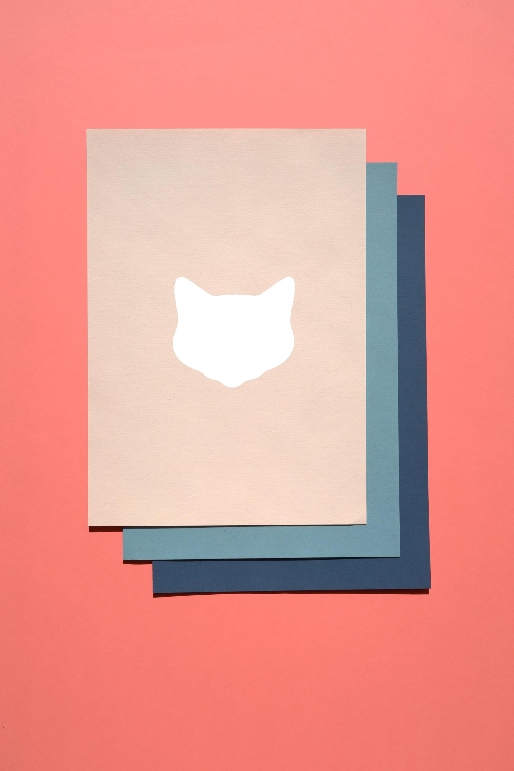 Cat Head Stencil, Reusable Plastic Template, 8 Inch, Durable for Animal-Themed Crafts and Home stencil photo 6