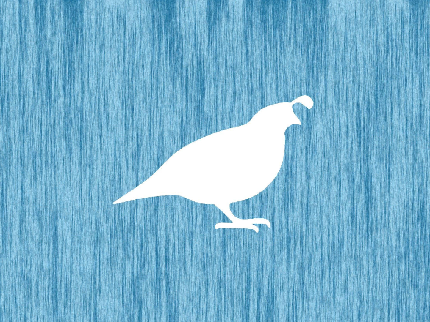 Quail Stencil, Reusable, Precision-Cut Mylar, 4-Inch, Ideal for Nature-Themed Crafts and Decor stencil photo 4