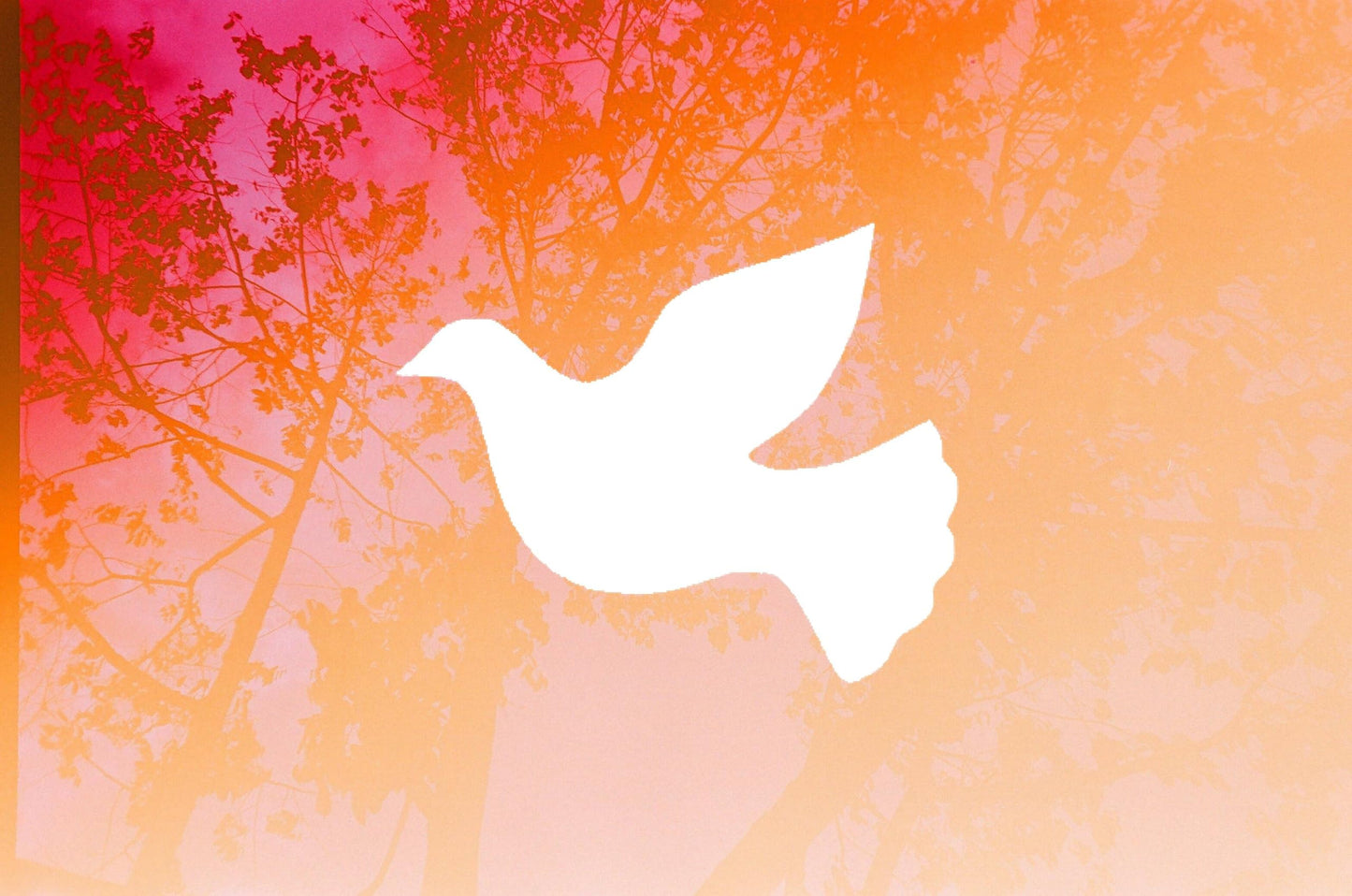 Dove Stencil, Reusable, Precision-Cut Mylar, 4-Inch, Perfect for Peace-Themed Crafts and stencil photo 4