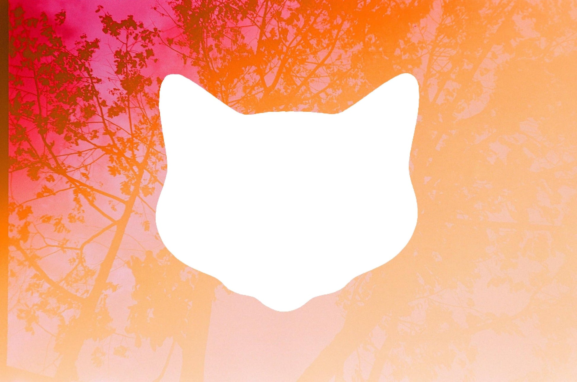 Cat Head Stencil, Reusable Plastic Template, 8 Inch, Durable for Animal-Themed Crafts and Home stencil photo 4