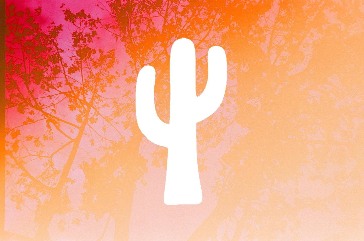 Cactus Stencil, Reusable, Precision-Cut Mylar, 4-Inch, Ideal for Botanical-Themed Crafts and Home stencil photo 4