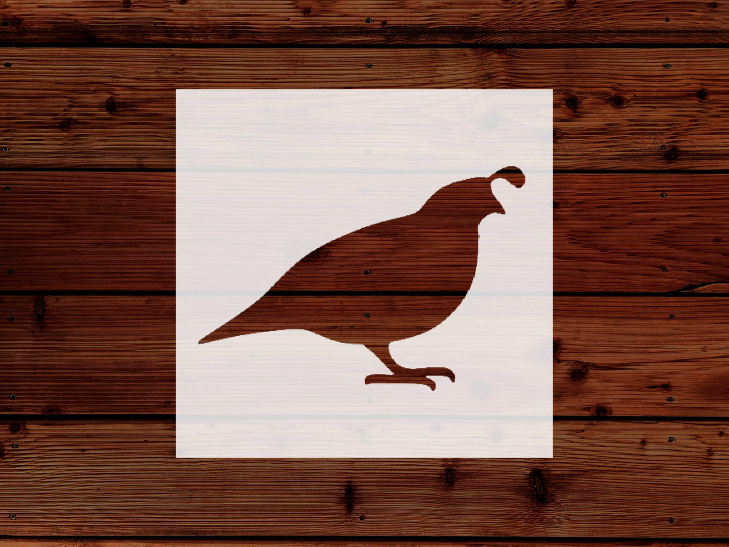 Quail Stencil, Reusable, Precision-Cut Mylar, 4-Inch, Ideal for Nature-Themed Crafts and Decor stencil photo 5