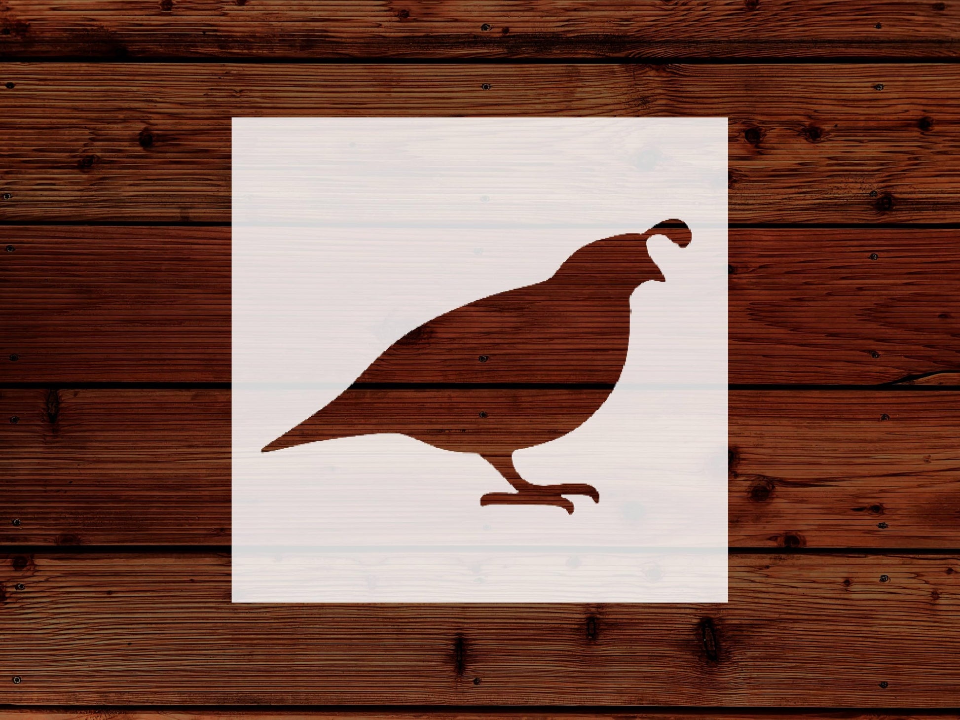 Quail Stencil, Reusable, Precision-Cut Mylar, 4-Inch, Ideal for Nature-Themed Crafts and Decor stencil photo 5