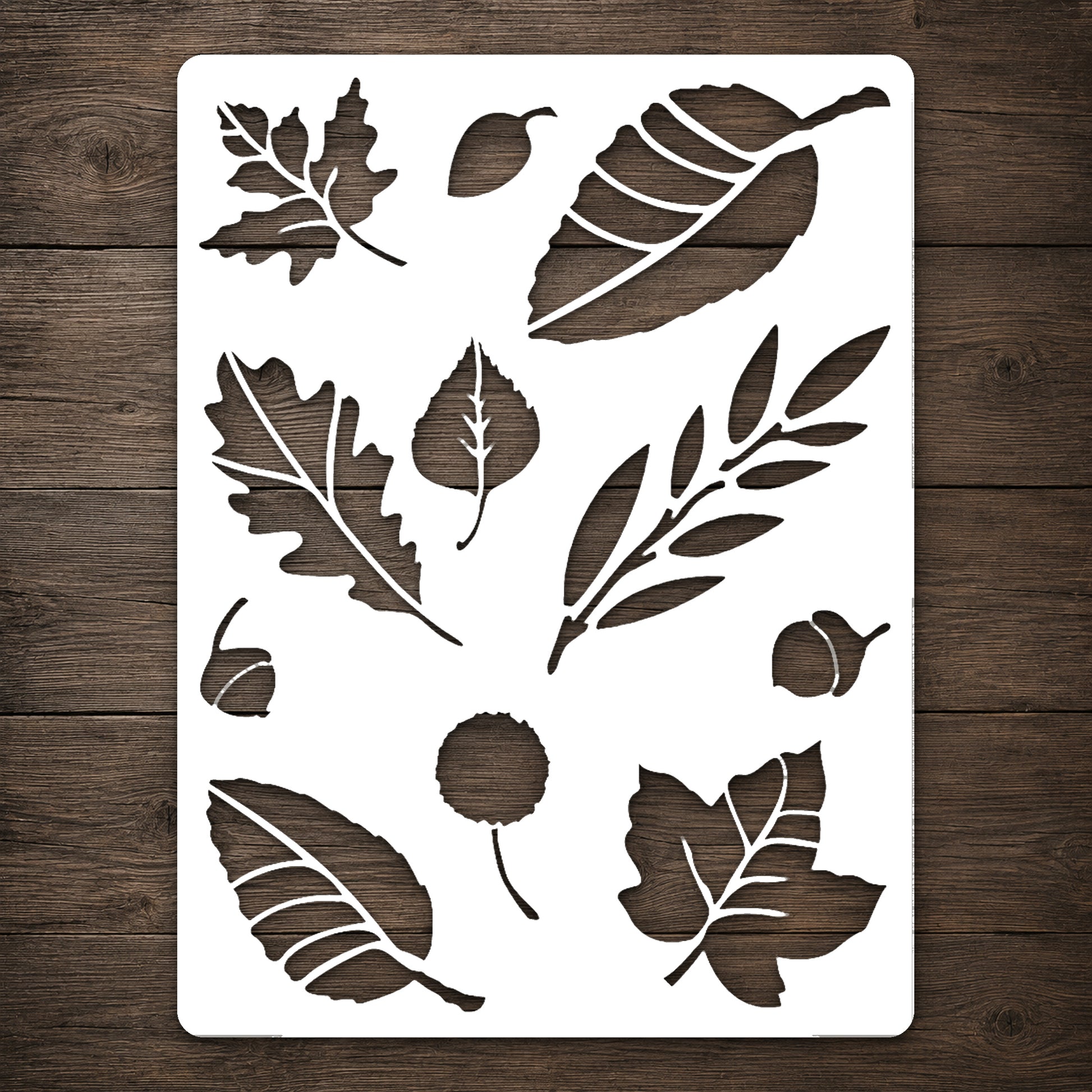 Various Leaf Shapes and Acorns Reusable Mylar Stencil for Art and DIY Crafts Template