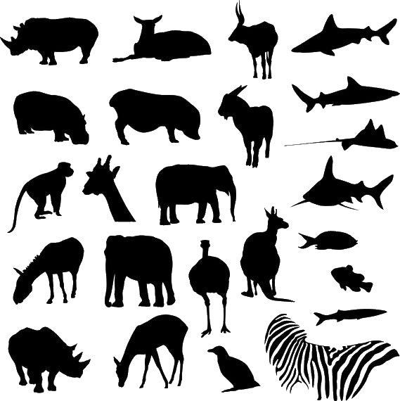 Various Animal Reusable Mylar Stencil for Art, Home Decor, DIY Crafts, Unique Gifts Template