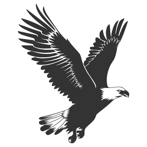 Part 88 Eagle Flight Spread Wings Stencil for Art & DIY Home Decor Crafts Template