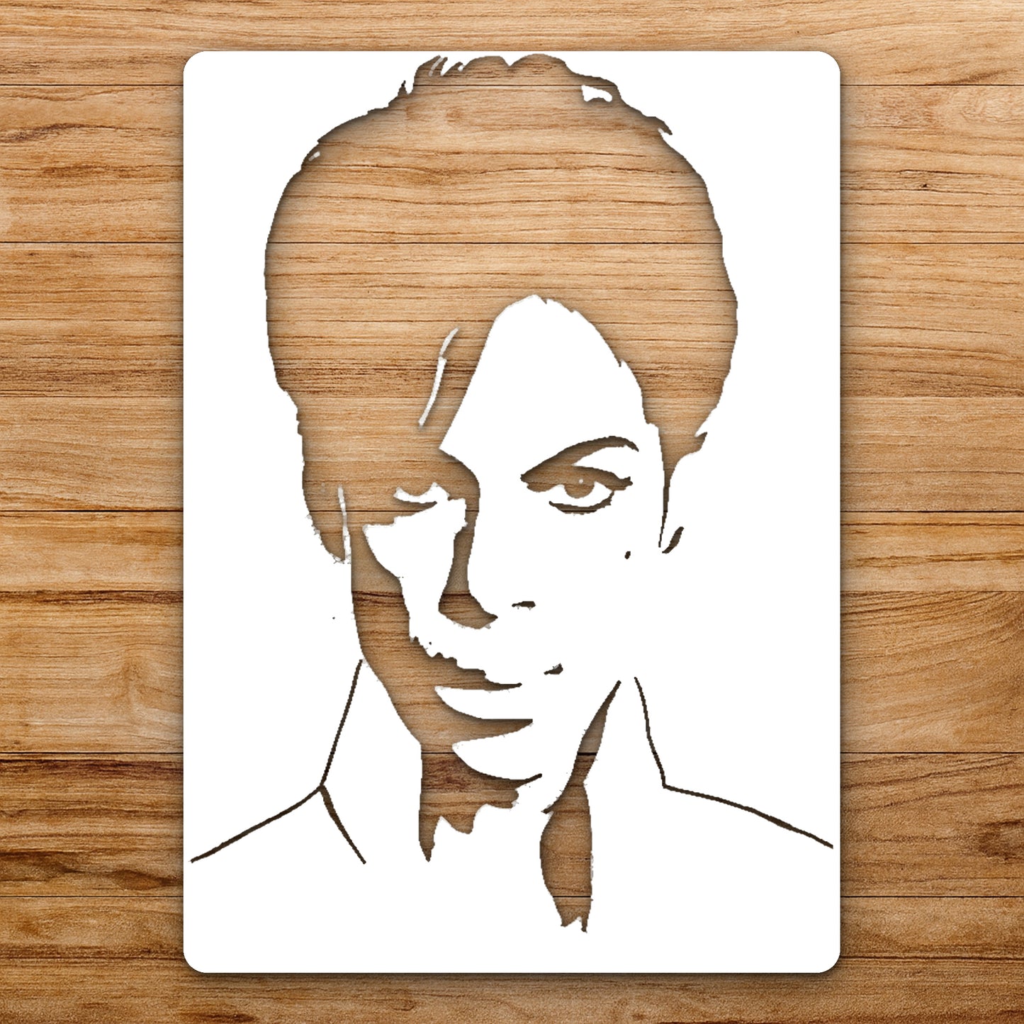 Face With Hair Eyes Nose Mouth reusable Mylar wall painting stencil
