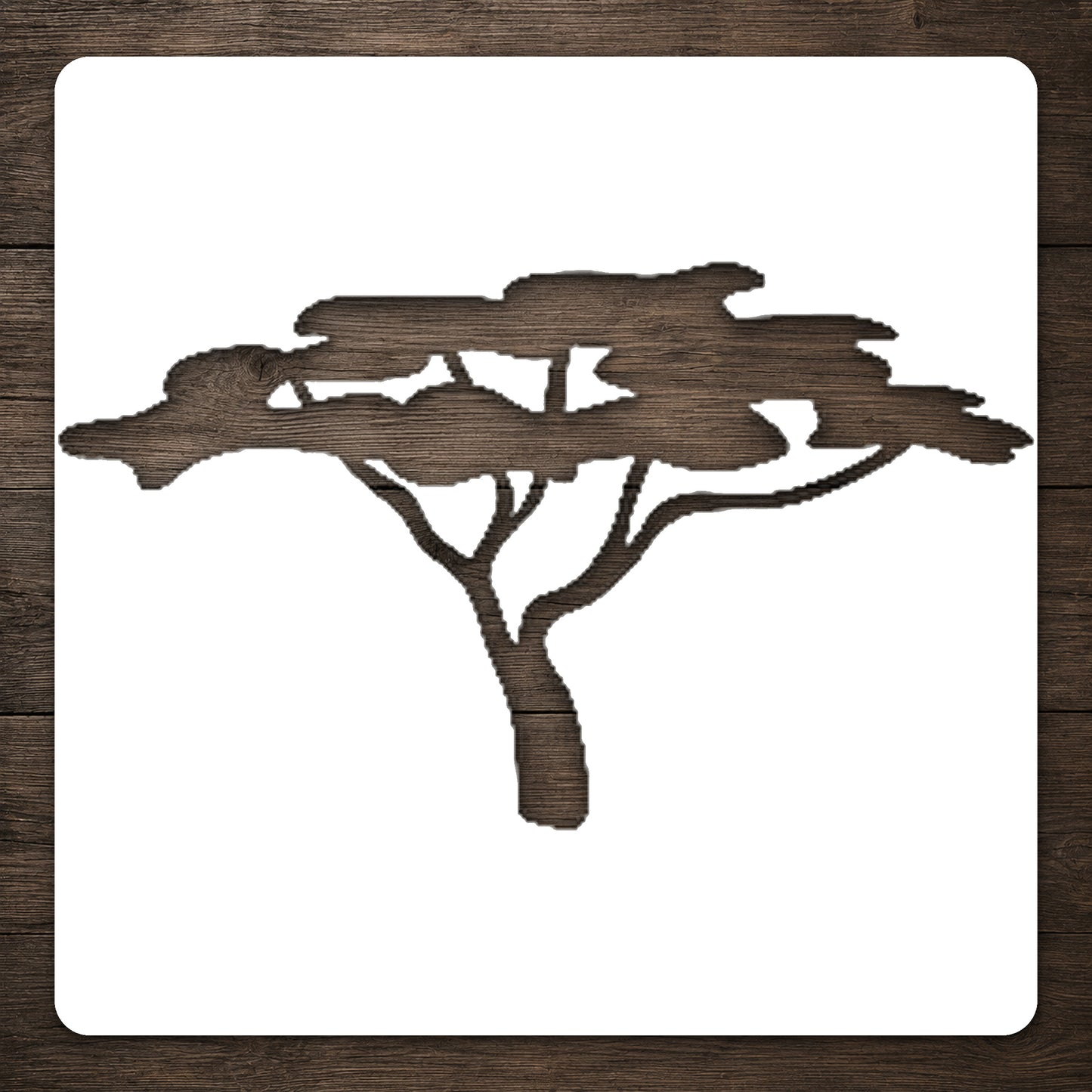 Broad Canopy Acacia Tree Reusable Mylar Stencil for Art, Home Decor, and DIY Crafts Template