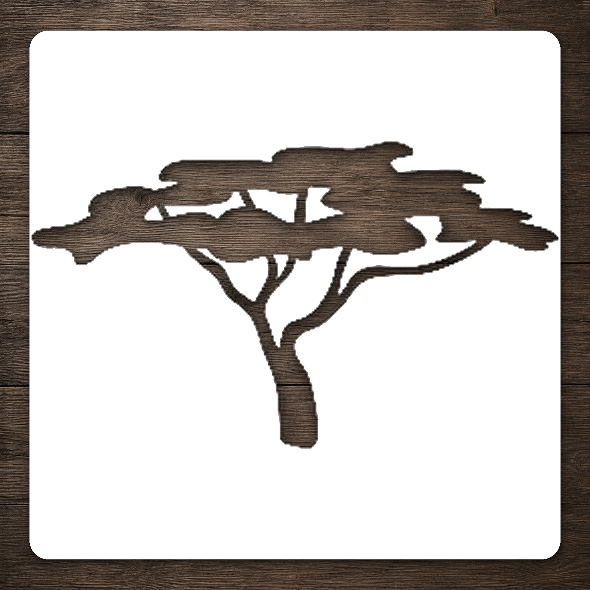Broad Canopy Acacia Tree Reusable Mylar Stencil for Art, Home Decor, and DIY Crafts Template