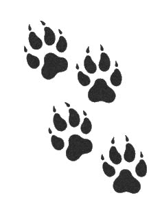 Animal Paw Prints Reusable Mylar Stencil for Art, Home Decor, and DIY Crafts Template