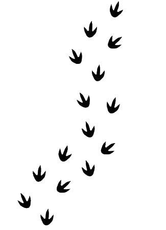 Bird Footprints in a Row Reusable Plastic Stencil for Art and DIY Home Decor Template