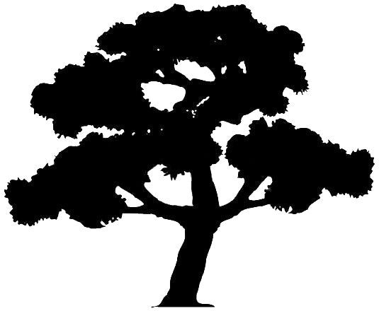 Tree With Branches And Leaves stencil photo 7