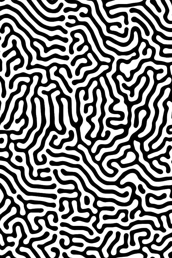 And Curves Forming Intricate Pathways Across stencil photo 7