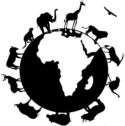 Animals Around The Globe Reusable Mylar Stencil for Art, Home Decor & DIY Crafts Template