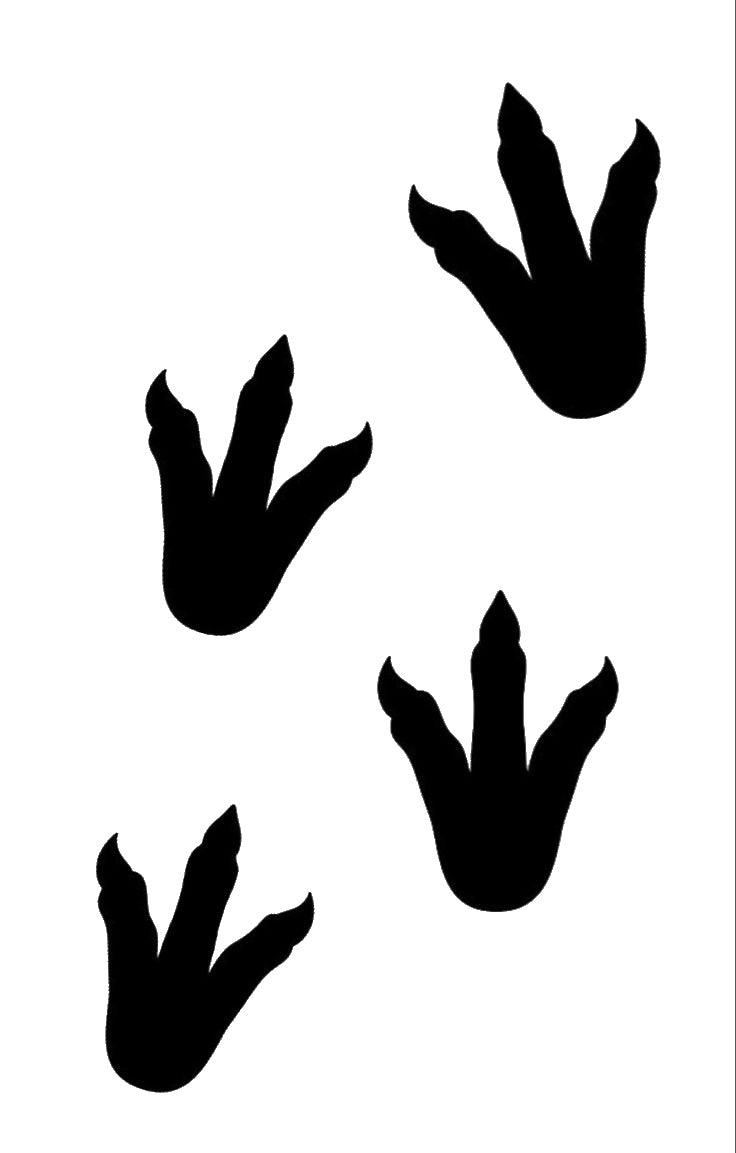 Dinosaur Footprints Stencil Set for Art, Home Decor, DIY Crafts, Unique Gifts Template