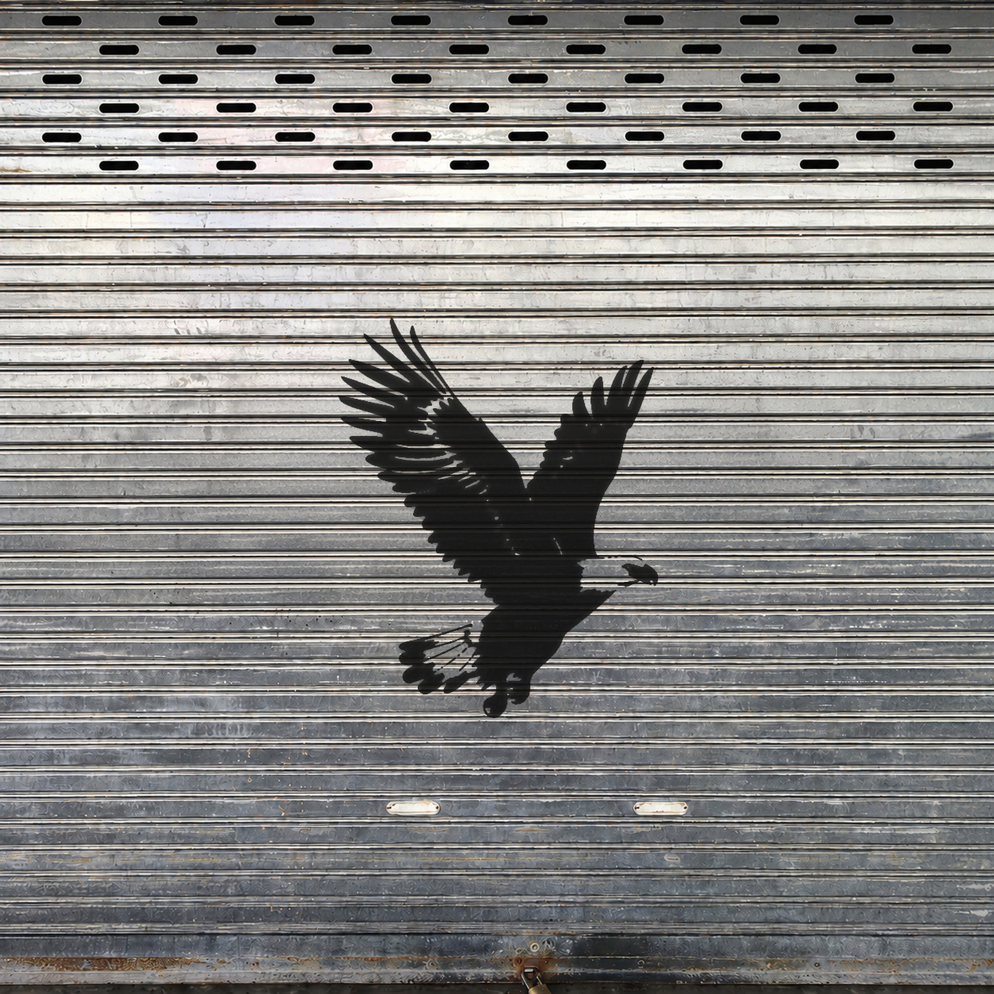 Part 88 Eagle Flight Spread Wings Stencil for Art & DIY Home Decor Crafts Template