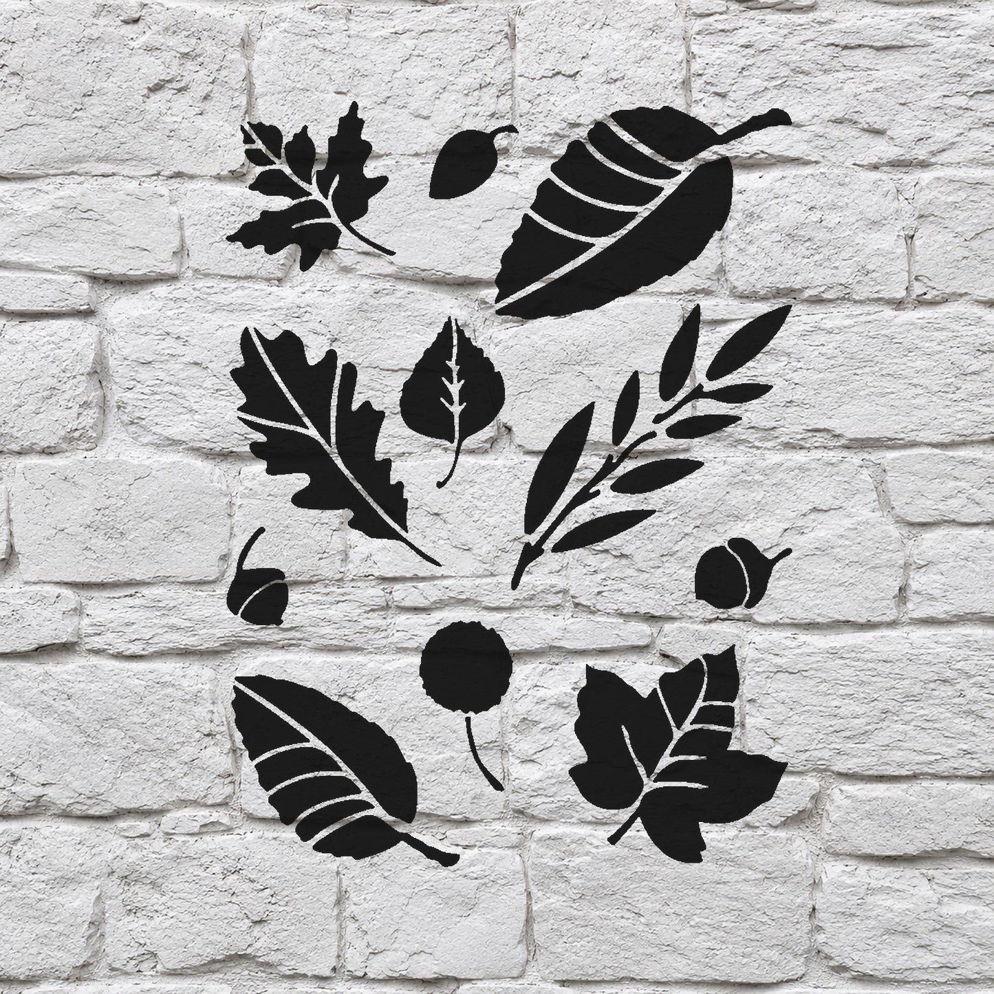 Various Leaf Shapes and Acorns Reusable Mylar Stencil for Art and DIY Crafts Template