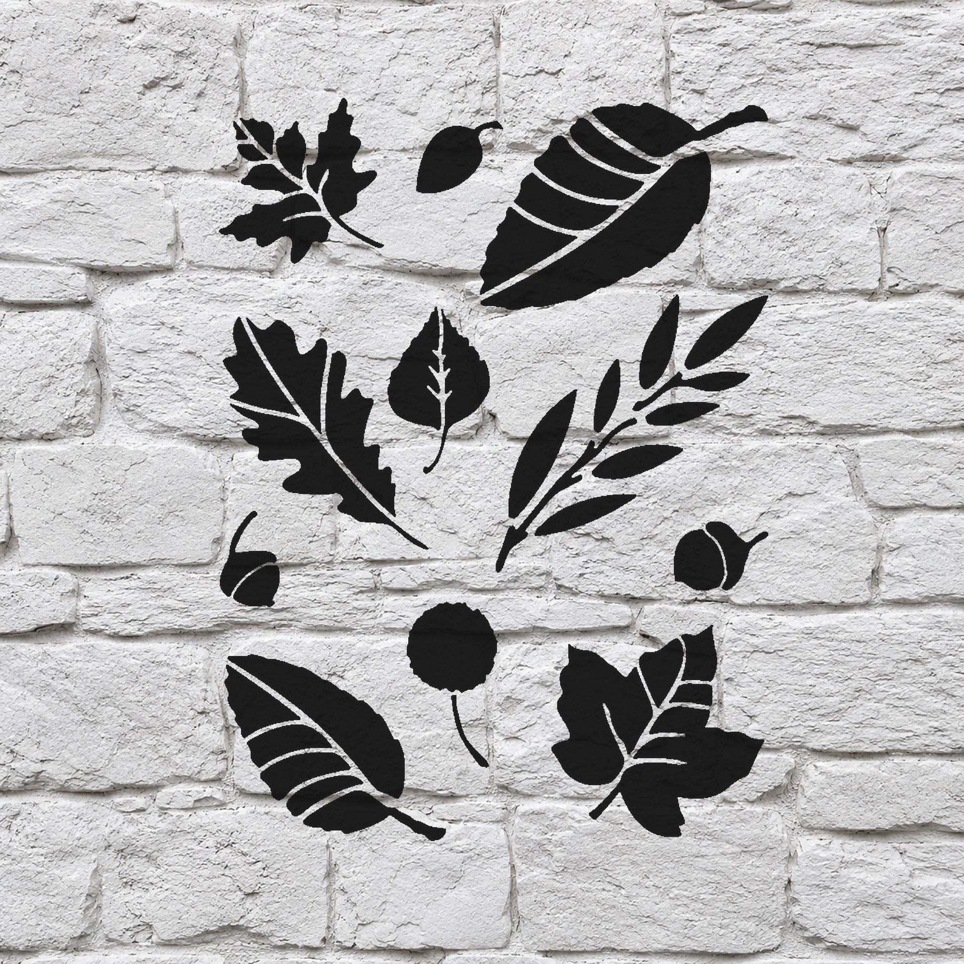 Various Leaf Shapes and Acorns Reusable Mylar Stencil for Art and DIY Crafts Template