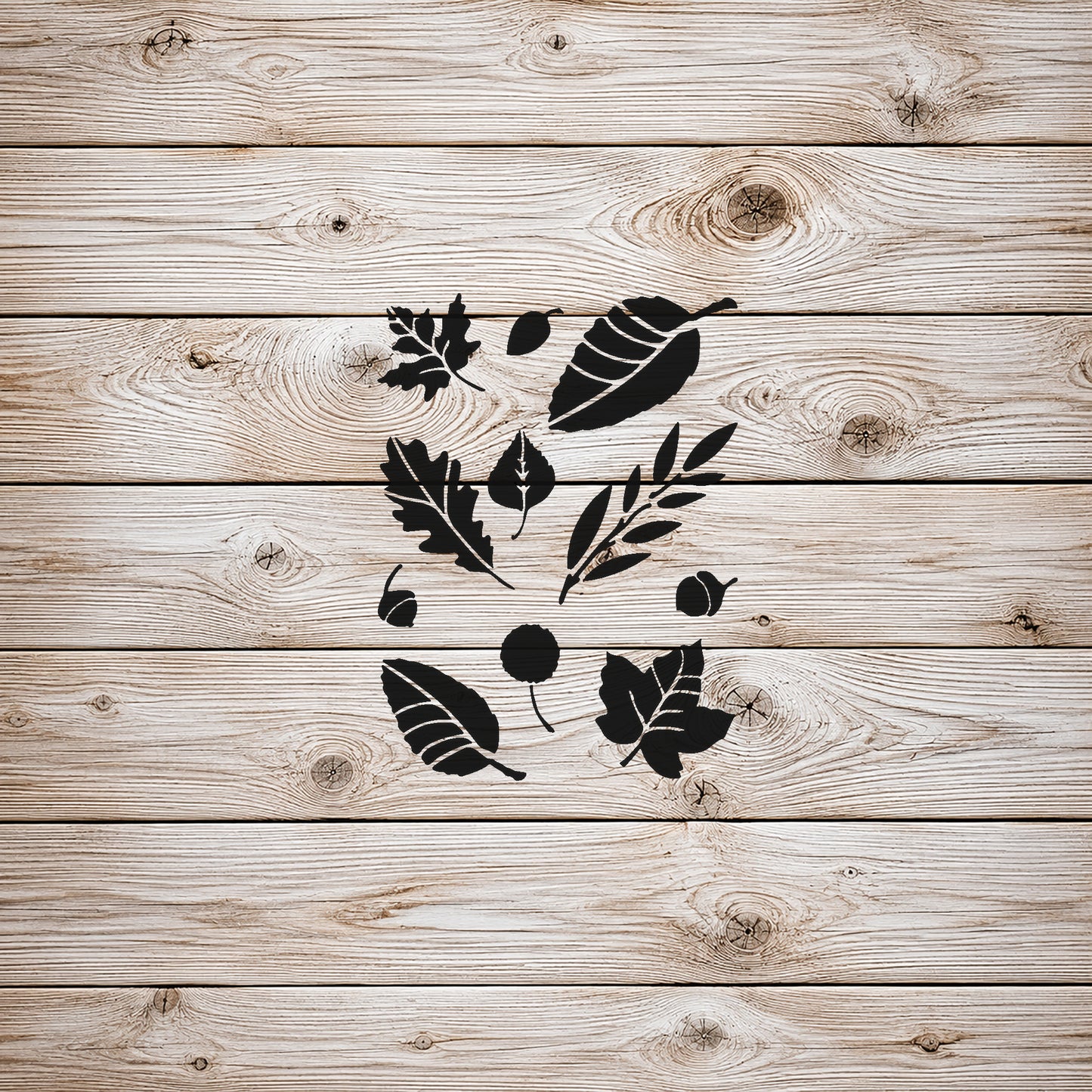 Various Leaf Shapes and Acorns Reusable Mylar Stencil for Art and DIY Crafts Template