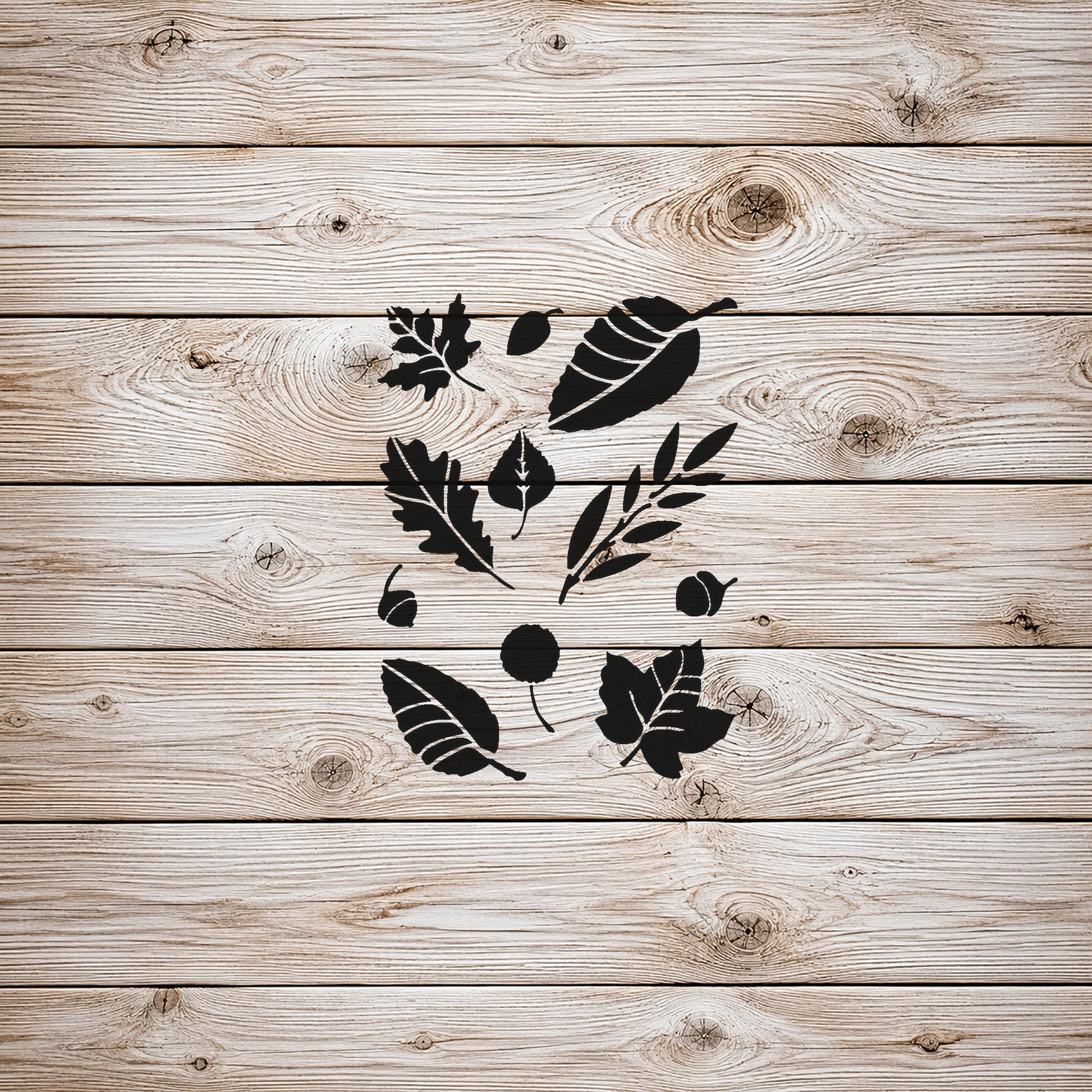 Various Leaf Shapes and Acorns Reusable Mylar Stencil for Art and DIY Crafts Template